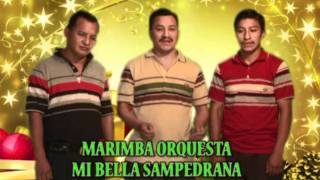 Marimba Orquesta Mi Bella Sampedrana  Feliz Navidad Musica de Guatemala [upl. by Yesnel]