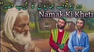 2 bewaqoof bhaiyon ka ajeeb Qissa  Moral stories  Hindi urdu [upl. by Roderigo]