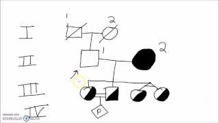 Genetics  How to Draw a Pedigree Family Tree [upl. by Alihs]