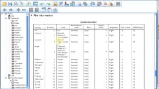 S01E0415 SPSS Basics  Codebook [upl. by Nylrak]