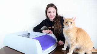 PetSafe ScoopFree Automatic Litter Box Review We Tested it For 2 Months [upl. by Knipe]