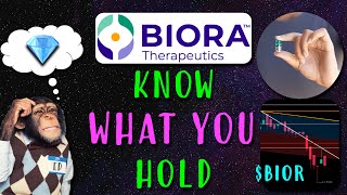 Biora Therapeutics Stock BIOR Know What You Hold [upl. by Brine540]