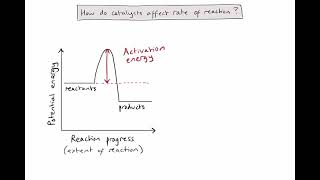 R225  How do catalysts affect rate of reaction [upl. by Alexei]