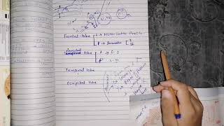 Somatosensory cortex part 2 guyton 48 function of somatosensory areas [upl. by Annovaj]