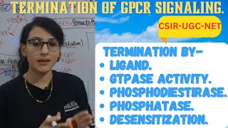 Termination of GPCR Signaling Pathway  Termination by Ligand GTPase Phosphatase Desensitization [upl. by Kcirederf744]