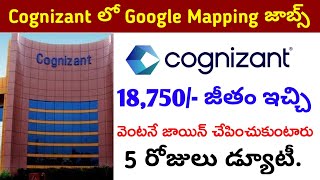 మాకు వెంటనే జాయిన్ అయ్యే వారు కావాలి Google Mapping Jobs Cognizant Jobs Latest  Jobs In Hyderabad [upl. by Uhp]