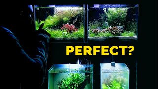 The Perfect Size Aquarium Beginner or Limited Space [upl. by Oilerua]