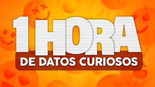 1 HORA de DATOS CURIOSOS y COSAS QUE NO SABÍAS ⏰😲 [upl. by Elyrad]