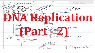 DNA Replication Part2  Replication Fork  Prepriming Complex  DNA Topoisomerases  Drugs [upl. by Tedd]