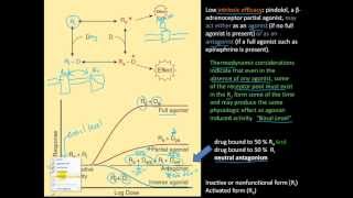 Pharm2  ED50 LD50 Therapeutic index margin of safety partial amp full agonist [upl. by Baun]