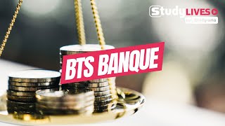 Tout savoir sur le BTS Banque  conseiller clientèle [upl. by Kizzee698]