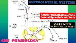 Anterolateral System  Ascending Pathways  3  Spinothalamic Tracts  CNS  Physiology [upl. by Ridan612]