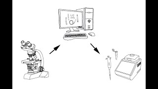 DNA FOR NEMATODE IDENTIFICATION [upl. by Belden]