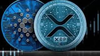 XRP and ADA Achieve Major Swiss Listing Cardano Creator Breaks Silence [upl. by Akehsay]