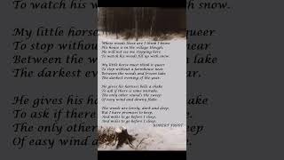 Stopping By Woods On A Snowy Evening by Robert Frost Audio shorts [upl. by Hermann]