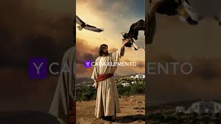 ¿Quién creo a Dios biblia [upl. by Weinstock]