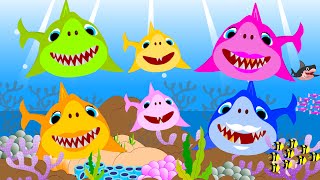 Baby Shark  Animal Songs BEST Baby Shark Dance Song  CoCocalf Nursery Rhymes amp Kids Songs [upl. by Morgun958]