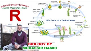 Protonema stage in the life cycle of Mosses Funaria [upl. by Atillertse371]