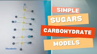 How to create carbohydrate modelsSimple sugars [upl. by Ahcsim]