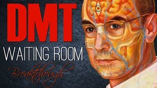 DMT EXPERIENCES 23  quotWaiting Room Breakthroughquot [upl. by Aron]