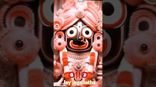 ⭕️‼️⭕️🛕🛕❤️🌝🌞🌝⭕️‼️⭕️ Jay jaganatha [upl. by Eeleak171]