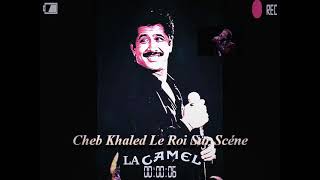 Cheb khaled la camel live 95 france [upl. by Ecahc512]