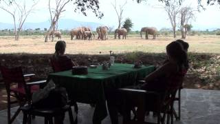 Elephants at Tarhi Camp  Tsavo East Kenya [upl. by Naelcm]