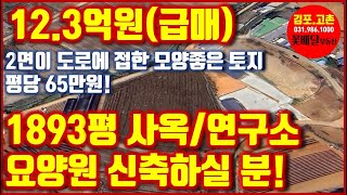 123억원급매1893평 사옥연구소요양원 등 신축하실 분 김포 월곶면 개곡리 땅 급매 평당 65만원 [upl. by Francoise]