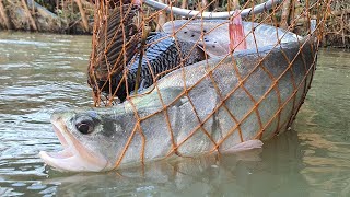 Unique Underwater Fishing  Best Fish Catching  Best Fishing Video [upl. by Eedahs]