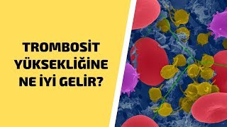 Trombosit Yüksekliği  Trombosit Yüksekliğini Önleme [upl. by Tega]