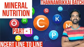 Mineral Nutrition  Part 1  Thannambikkai Batch  NCERT Line to Line [upl. by Longerich]