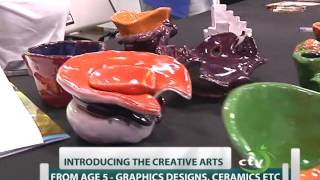 School of Arts and Design St Lucia on Calabash TV [upl. by Nemlaz]