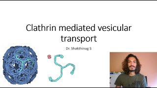 Clathrin mediated vesicular transport [upl. by Savinirs986]