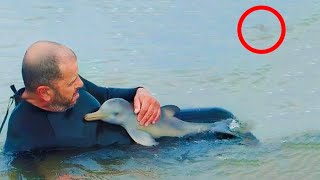 Man Saves Baby Dolphin But Does Not See What Happens Behind Him [upl. by Arahsat65]