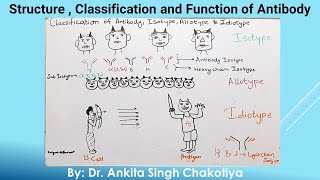 Classification of Antibody Isotype Allotype and Idiotype [upl. by Eloken831]