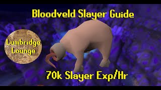 OSRS 2022 Bloodveld Slayer Guide  70k Slayer ExpHr [upl. by Riatsala363]