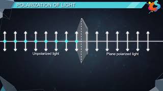 16  Class 12  Physics  Wave Optics  Polarisation [upl. by Acilejna604]