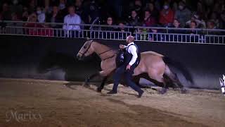 Trickreiter  Equitana 2022  Laury Tisseur [upl. by Aidan]