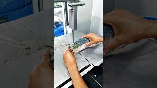 Hilsha fish cutting master super fast fish cutting style fishlaver fish shorts short [upl. by Motteo]