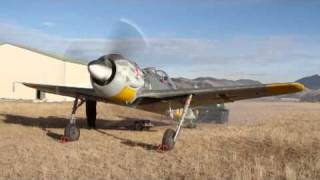 Fw 190 First engine start in New Zealand [upl. by Duile]