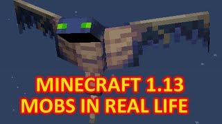 Minecraft 113 mobs in real life [upl. by Honor]