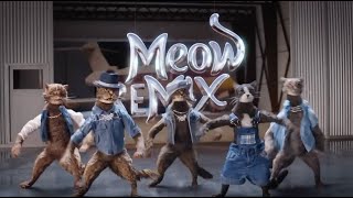 Meow Mix Commercial 2023 Meow Mix Jingle Wet Your Whiskers Ad [upl. by Cchaddie]