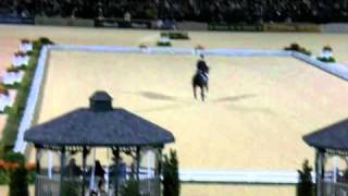 Imke SchellekensBartels and Hunter Douglas Sunrise Dressage Freestyle WEG 2010 [upl. by Eelegna]