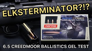 LONG RANGE GOLD 65 Creedmoor Norma Bondstrike 143gr Ammo Test [upl. by Aniar]