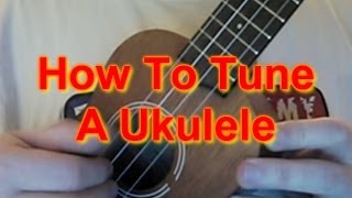 How to Tune A Ukulele [upl. by Sanburn]