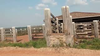 Construção do Projeto de Confinamento na Faz Fazendinha em Itaituba PA [upl. by Edora310]