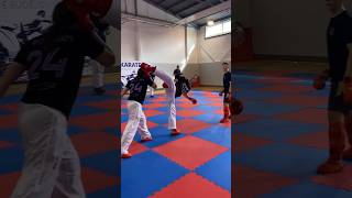 Wkf karate kumite kick training  karate training  karate kumite wkf karatetraining ytshorts [upl. by Oleusnoc]