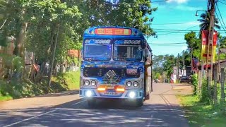 quotසැලකිලි එක්ක පැදිලි🤭❤️  Stallion Express  Beliatta Town  STS Videography [upl. by Initsed502]