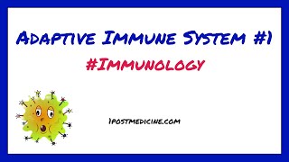 Adaptive Immune System 1  Immunology [upl. by Nylram]