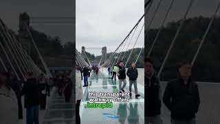 The Glass Bridge ZHANGJIAJIE GLASS BRIDGE China shorts [upl. by Eniluqcaj]